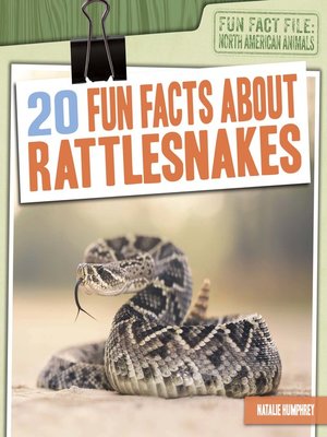 cover image of 20 Fun Facts About Rattlesnakes